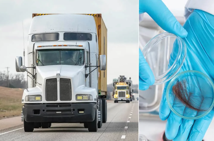 A semi truck photo side by side with a hair sample